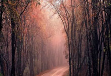 [法甲]贝拉尔多对奥巴梅扬犯规 被红牌直接罚下.