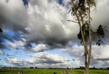 虎扑体育：陈垣宇2-3惜败卡尔伯格，WTT重庆冠军赛遭遇一轮.