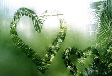 北京市足协：已取得郭嘉璇训练赛视频，将全力维护嘉璇合法权益.