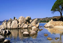 虎扑体育：詹俊：枪手中场梅里诺身价不应出现在跌幅榜，应在涨幅榜的.